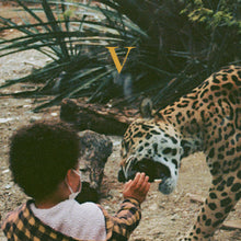 Load image into Gallery viewer, Unknown Mortal Orchestra | V