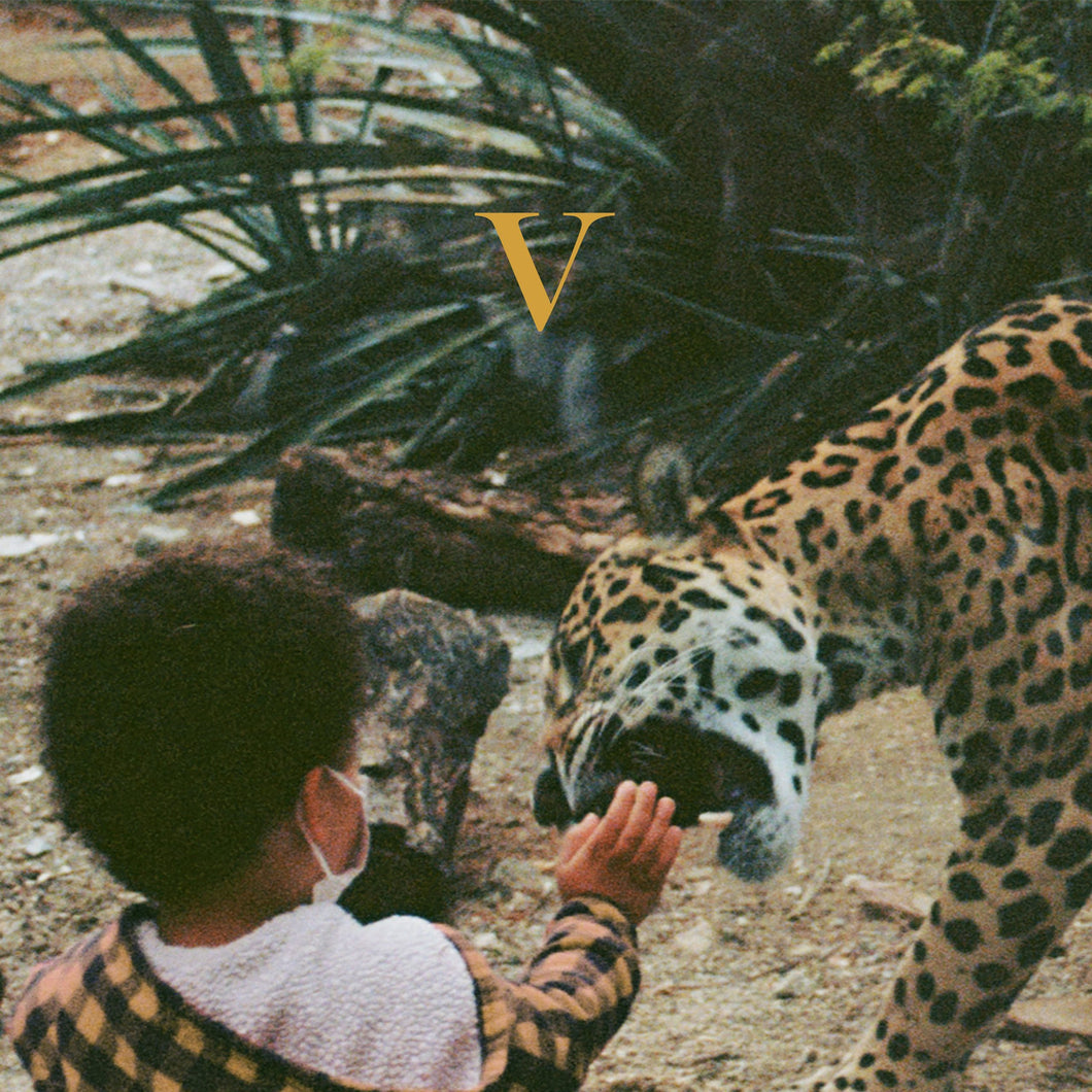 Unknown Mortal Orchestra | V