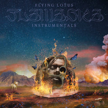 Load image into Gallery viewer, Flying Lotus | Flamagra (Instrumentals) - Hex Record Shop