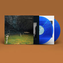 Load image into Gallery viewer, Yo La Tengo | This Stupid World