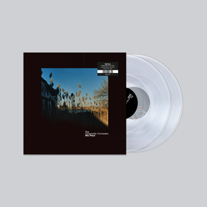 The Cinematic Orchestra | Ma Fleur