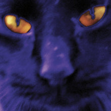 Load image into Gallery viewer, David Kilgour and The Heavy Eights | Bobbie&#39;s A Girl - Hex Record Shop