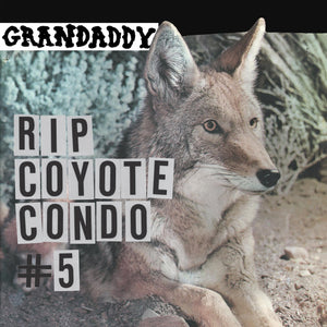 Grandaddy | RIP Coyote Condo #5 b/w The Fox in the Snow and In My Room