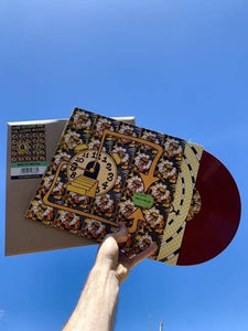 King Gizzard and The Lizard Wizard | Made In Timeland