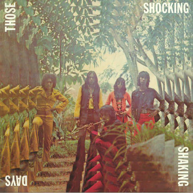 Various Artists | Those Shocking Shaking Days: Indonesian Hard, Psychedelic, Progressive Rock and Funk 1970-1978
