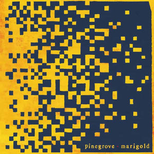 Pinegrove ‎| Marigold - Hex Record Shop