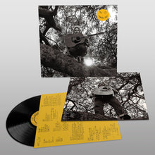 Load image into Gallery viewer, Ty Segall | Hello Hi