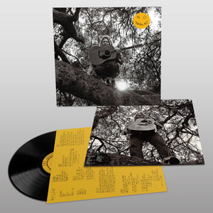 Ty Segall | Hello Hi