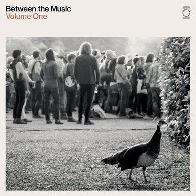 Various Artists | End of the Road Presents: Between the Music Vol. 1
