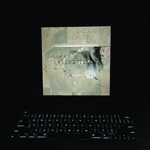 Lambchop | The Bible