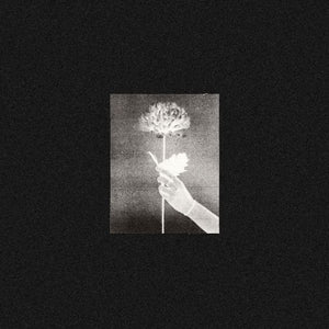 White Flowers | Day By Day
